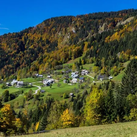 Mountain Pokrovec - Happy Alpesi faház *