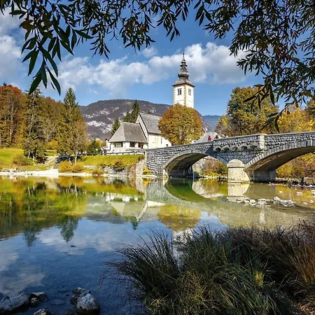 Mountain Pokrovec - Happy *